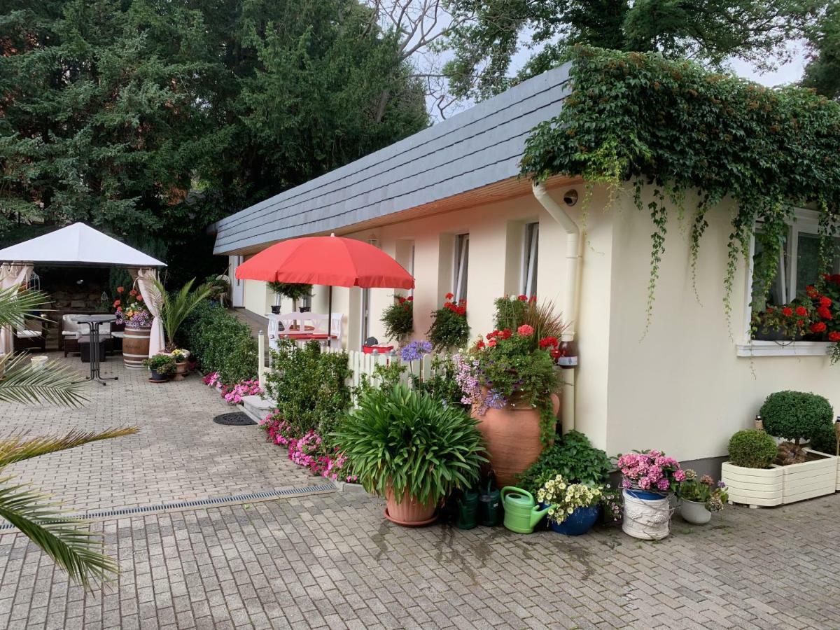 Schlossblick Appartamento Blankenburg (Harz)